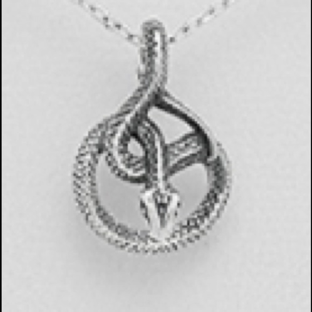 Sterling Silver Snake Pendant🐍 ~
